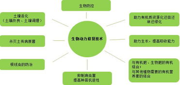 复振科技 从医药跨界环保的“野蛮人”，如何在环境科技领域开疆拓土？