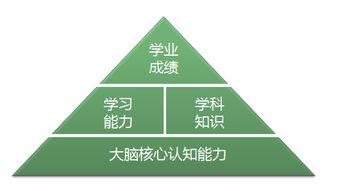 筑梦前行 视友科技以环境科技开拓全脑培育新领域，助力幼儿智慧教育