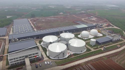打造绿色能源发展标杆镇 公共机构绿电使用率达50%以上的路径与创新